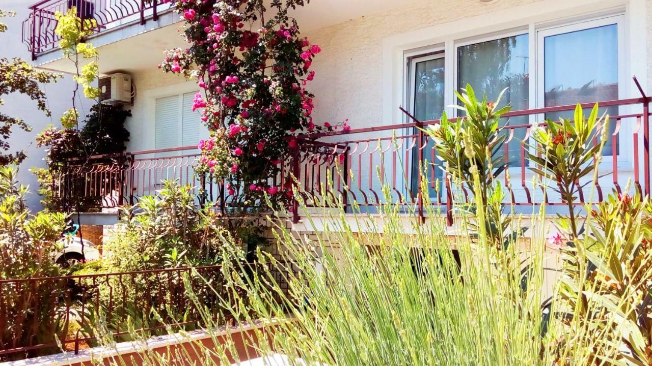 Apartmani Komunela Umag Exteriör bild